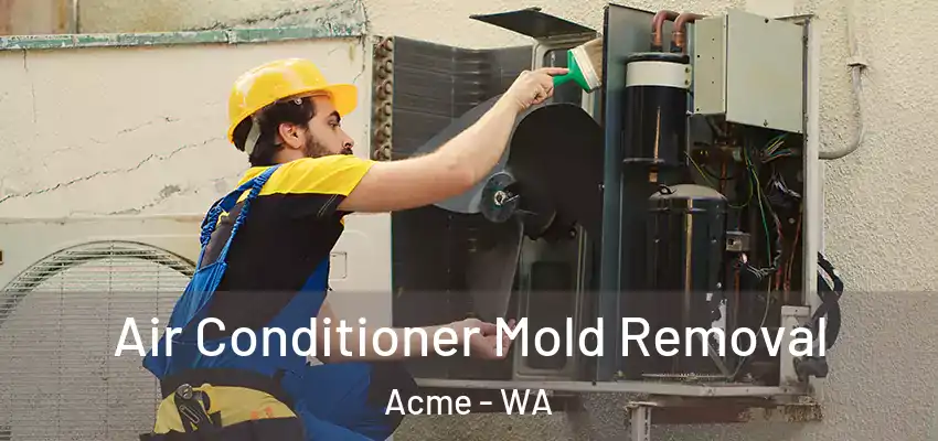  Air Conditioner Mold Removal Acme - WA