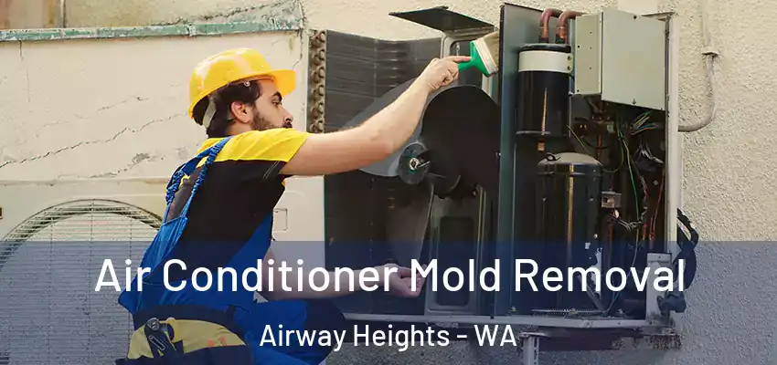 Air Conditioner Mold Removal Airway Heights - WA