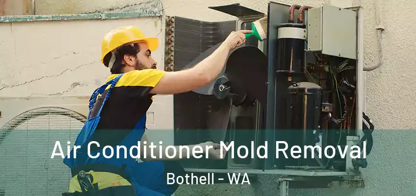  Air Conditioner Mold Removal Bothell - WA
