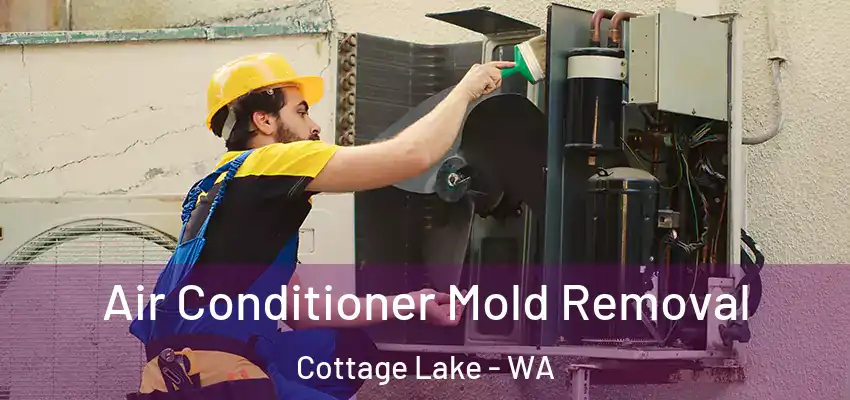  Air Conditioner Mold Removal Cottage Lake - WA