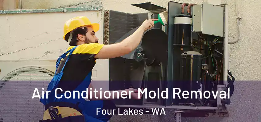  Air Conditioner Mold Removal Four Lakes - WA