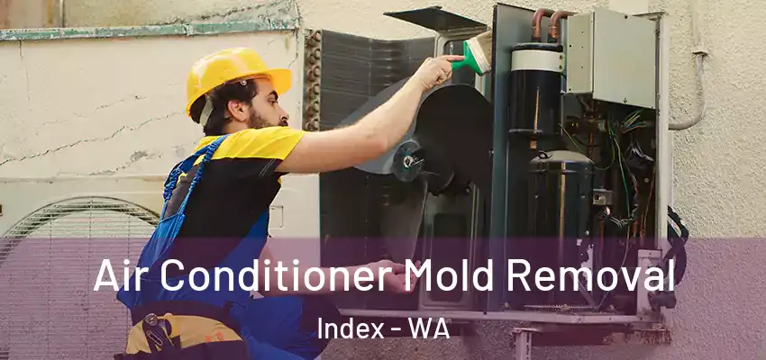  Air Conditioner Mold Removal Index - WA