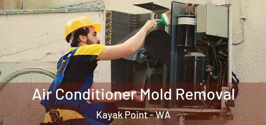Air Conditioner Mold Removal Kayak Point - WA