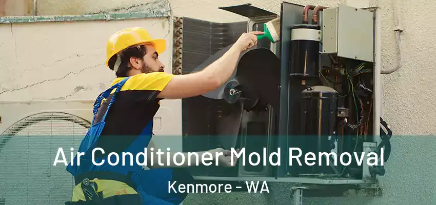  Air Conditioner Mold Removal Kenmore - WA