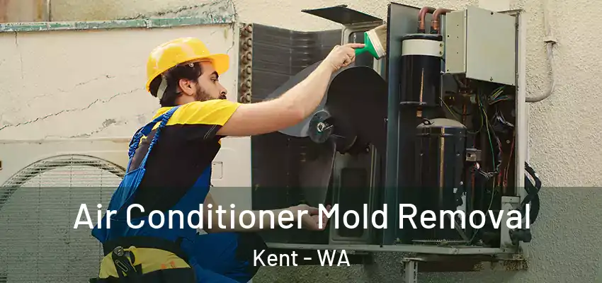  Air Conditioner Mold Removal Kent - WA