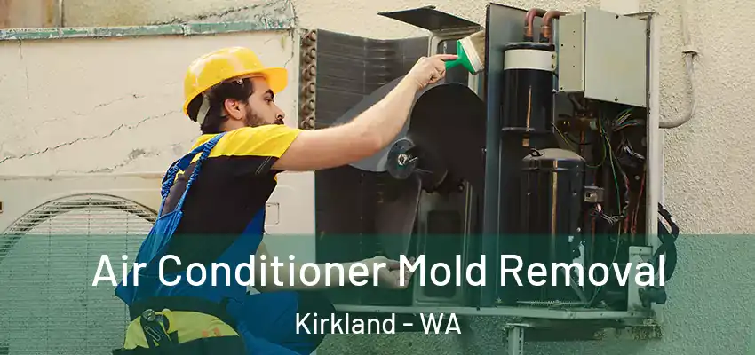  Air Conditioner Mold Removal Kirkland - WA