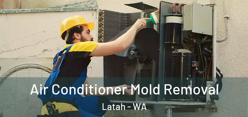  Air Conditioner Mold Removal Latah - WA