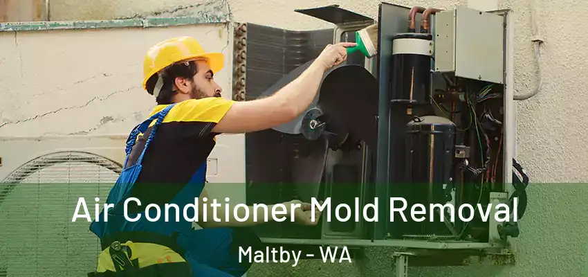  Air Conditioner Mold Removal Maltby - WA
