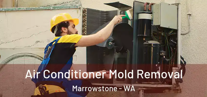  Air Conditioner Mold Removal Marrowstone - WA