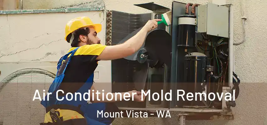  Air Conditioner Mold Removal Mount Vista - WA