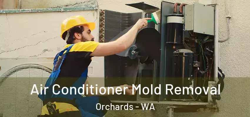 Air Conditioner Mold Removal Orchards - WA