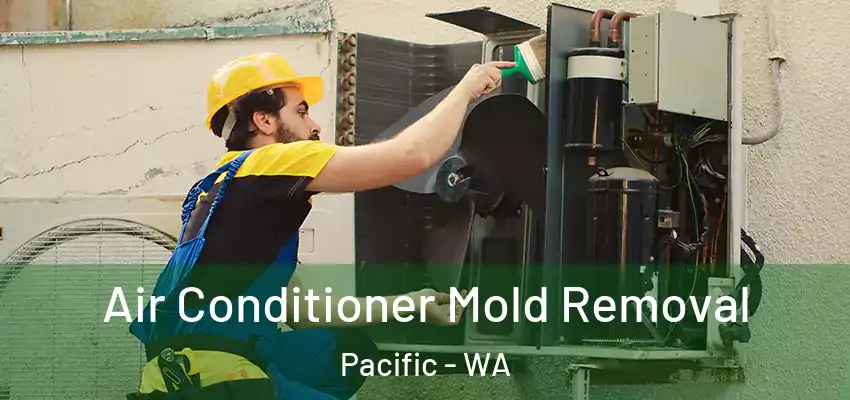  Air Conditioner Mold Removal Pacific - WA