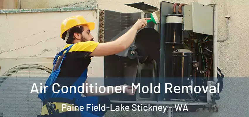  Air Conditioner Mold Removal Paine Field-Lake Stickney - WA