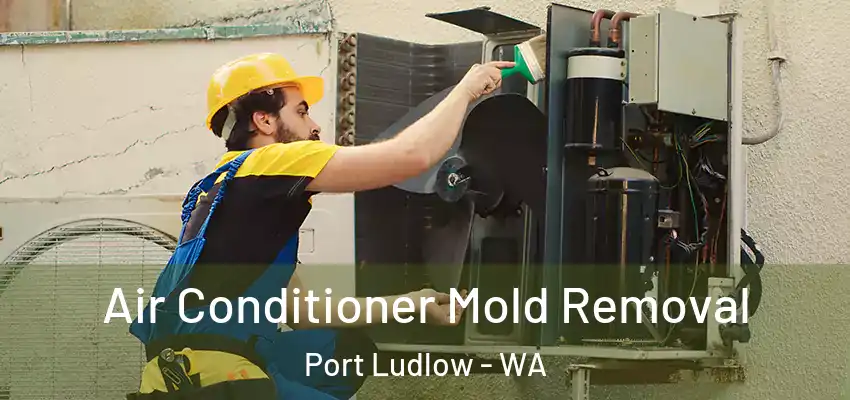  Air Conditioner Mold Removal Port Ludlow - WA