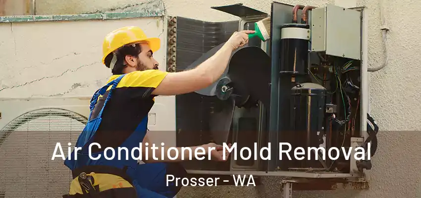  Air Conditioner Mold Removal Prosser - WA