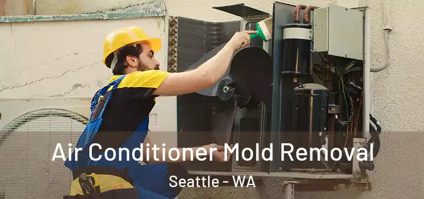  Air Conditioner Mold Removal Seattle - WA