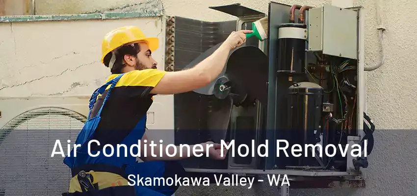  Air Conditioner Mold Removal Skamokawa Valley - WA