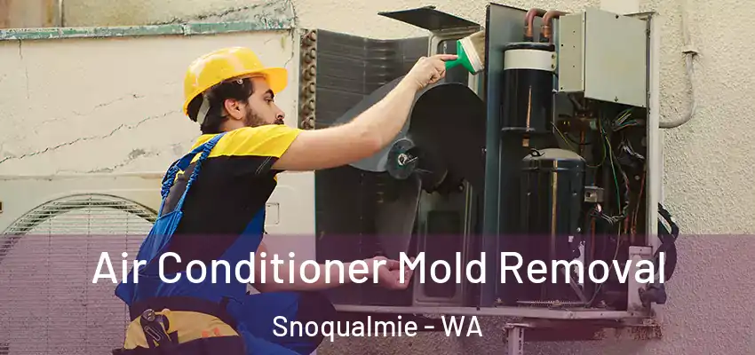  Air Conditioner Mold Removal Snoqualmie - WA