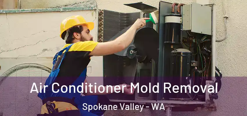  Air Conditioner Mold Removal Spokane Valley - WA