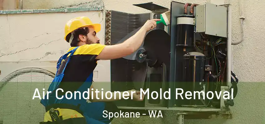  Air Conditioner Mold Removal Spokane - WA
