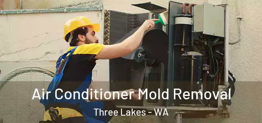  Air Conditioner Mold Removal Three Lakes - WA