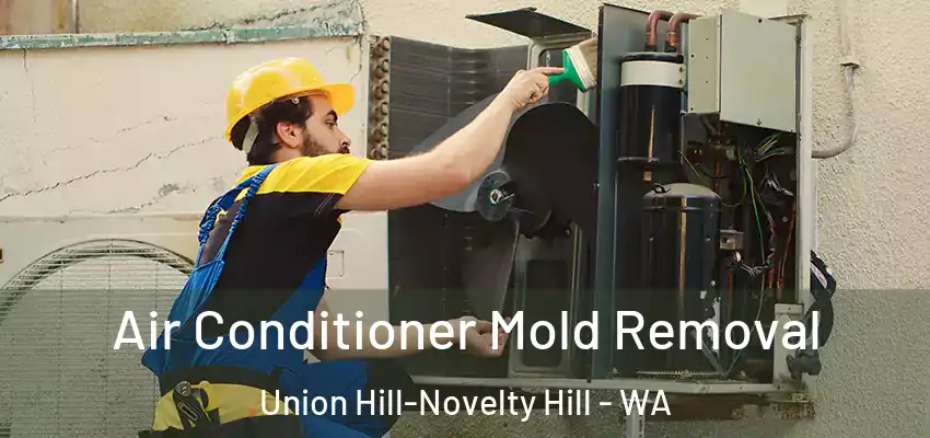  Air Conditioner Mold Removal Union Hill-Novelty Hill - WA