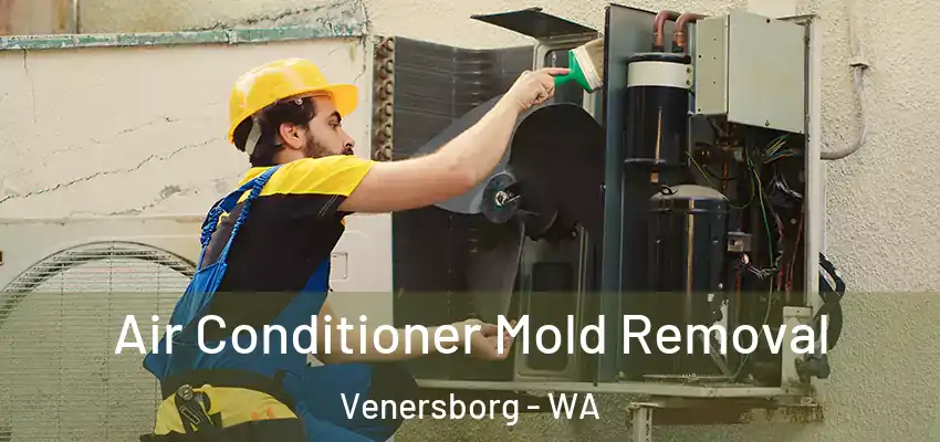  Air Conditioner Mold Removal Venersborg - WA