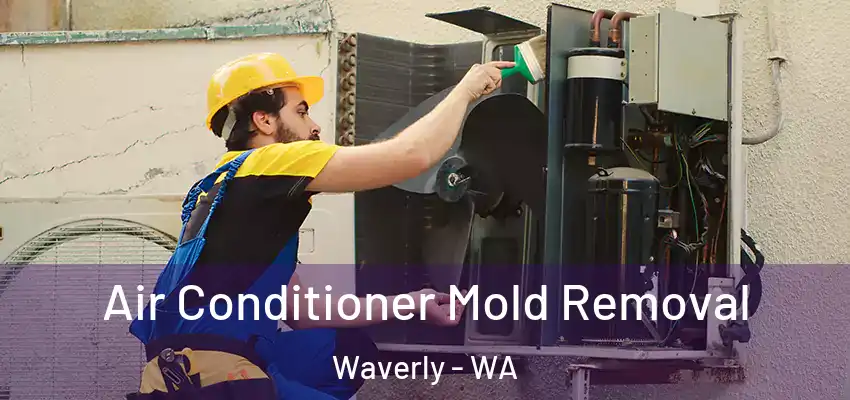  Air Conditioner Mold Removal Waverly - WA