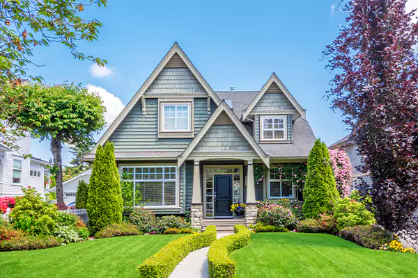 Black Mold Clean Up in Bellevue, WA