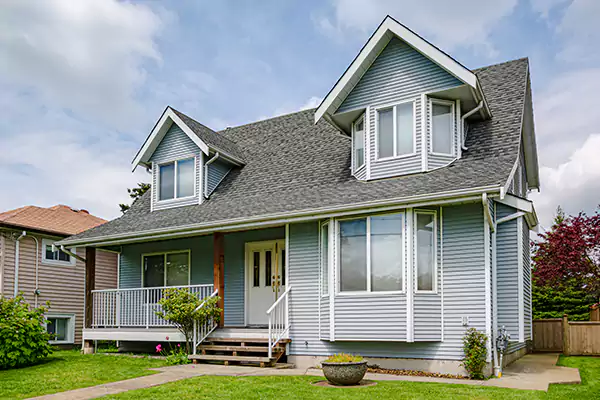 Black Mold Mitigation in Bellevue, WA