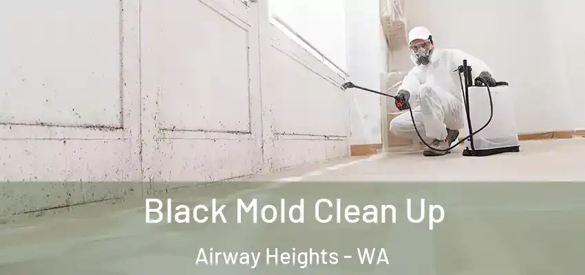 Black Mold Clean Up Airway Heights - WA
