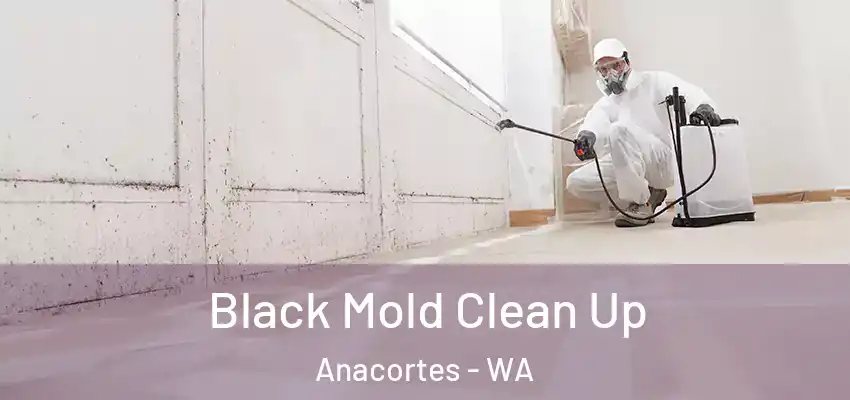  Black Mold Clean Up Anacortes - WA
