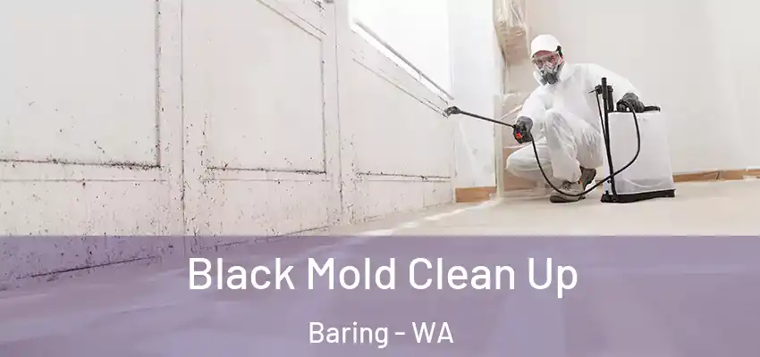  Black Mold Clean Up Baring - WA