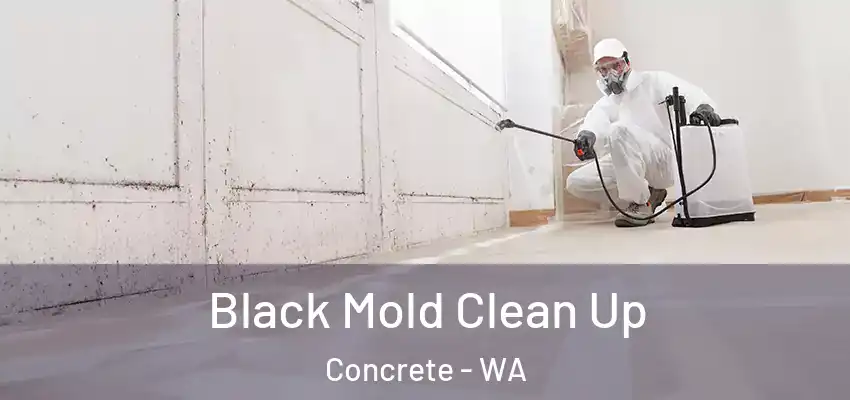 Black Mold Clean Up Concrete - WA