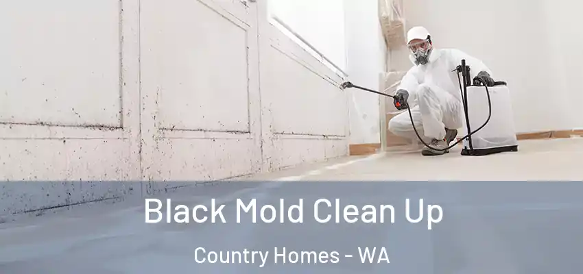  Black Mold Clean Up Country Homes - WA