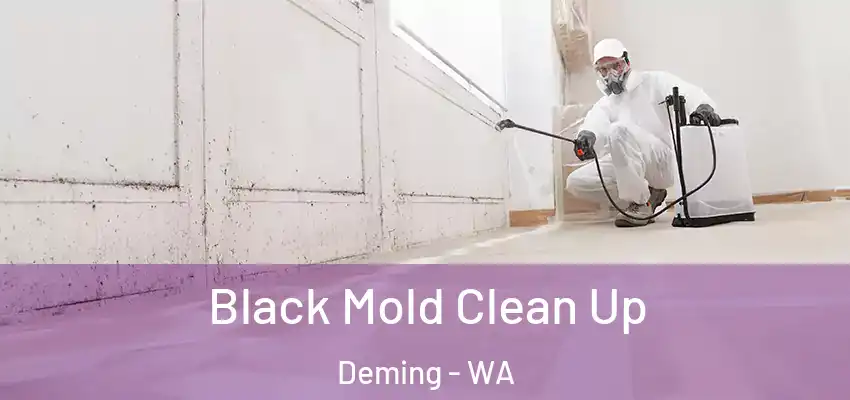  Black Mold Clean Up Deming - WA