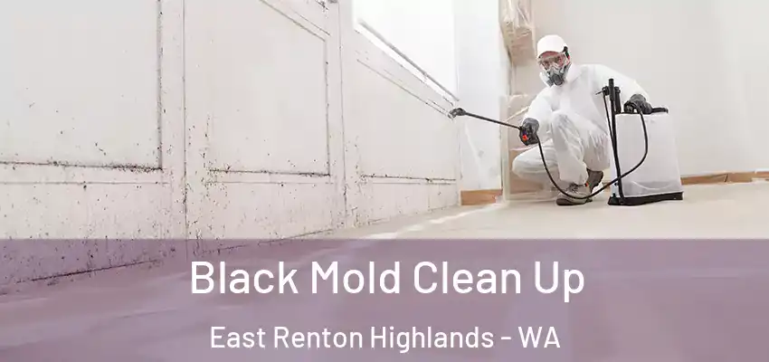 Black Mold Clean Up East Renton Highlands - WA