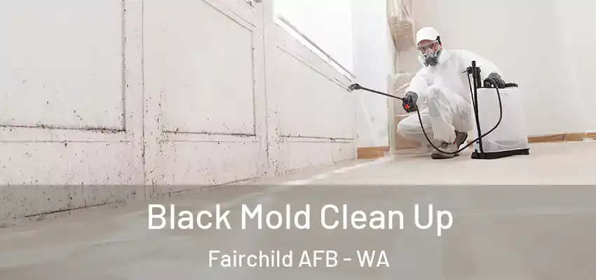  Black Mold Clean Up Fairchild AFB - WA