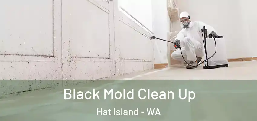  Black Mold Clean Up Hat Island - WA