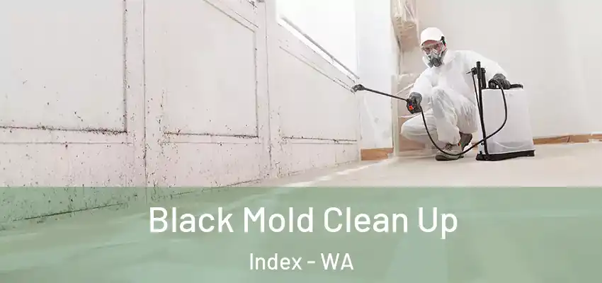  Black Mold Clean Up Index - WA