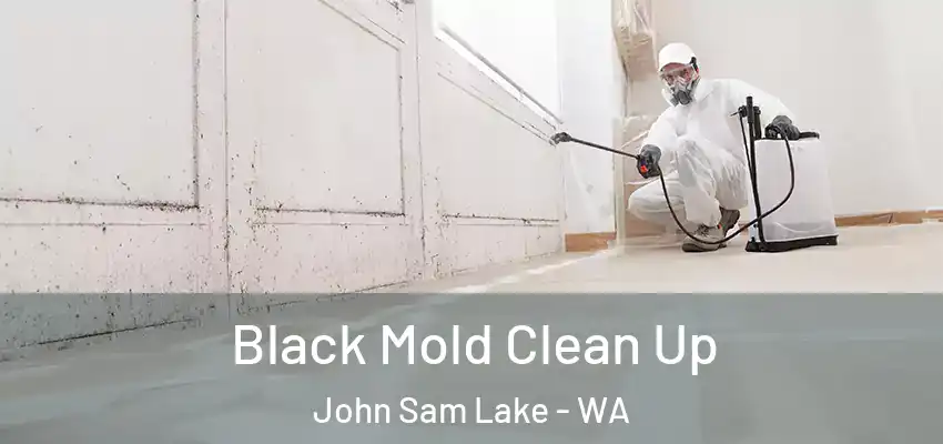  Black Mold Clean Up John Sam Lake - WA