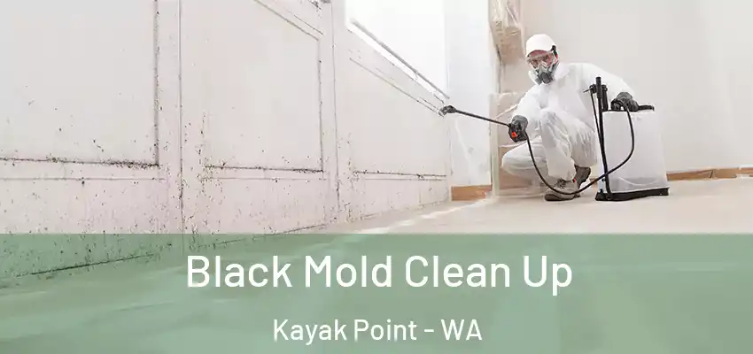  Black Mold Clean Up Kayak Point - WA