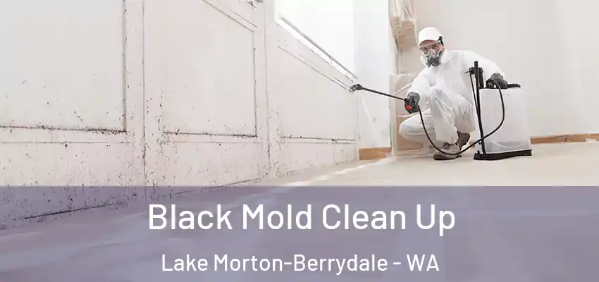  Black Mold Clean Up Lake Morton-Berrydale - WA