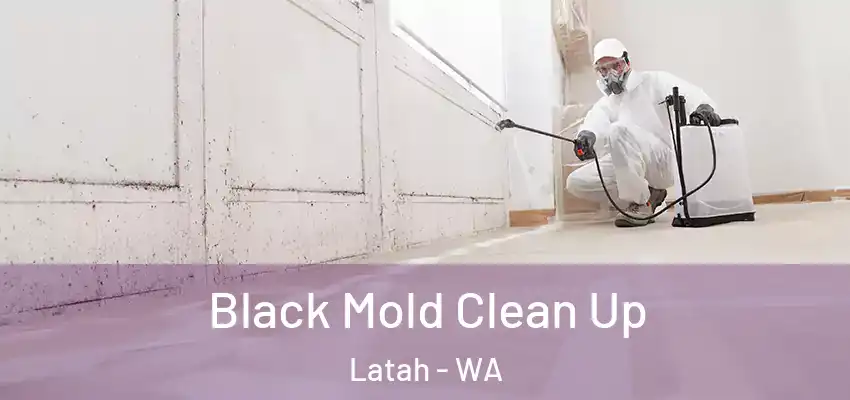  Black Mold Clean Up Latah - WA
