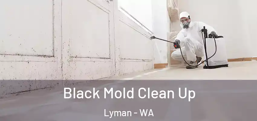 Black Mold Clean Up Lyman - WA