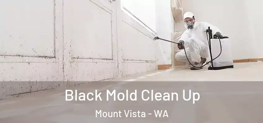  Black Mold Clean Up Mount Vista - WA