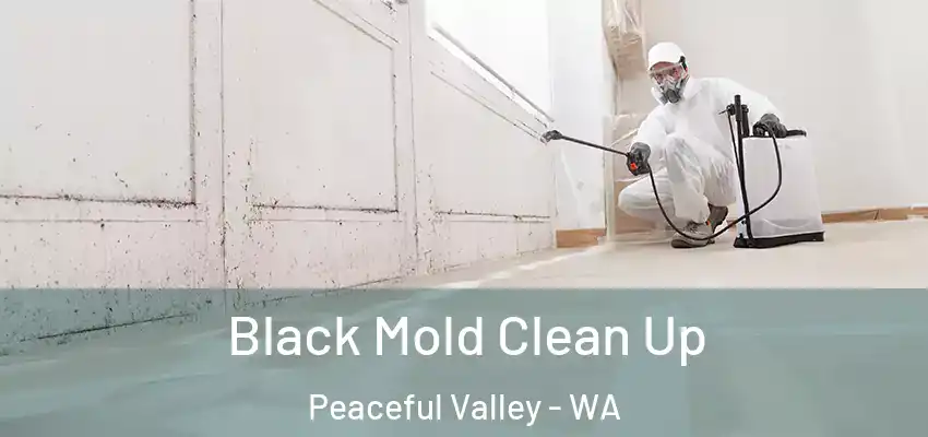 Black Mold Clean Up Peaceful Valley - WA
