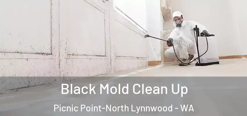  Black Mold Clean Up Picnic Point-North Lynnwood - WA