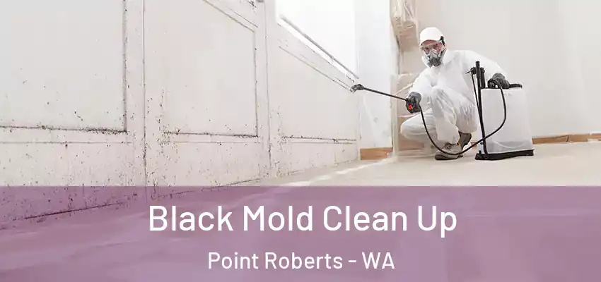  Black Mold Clean Up Point Roberts - WA