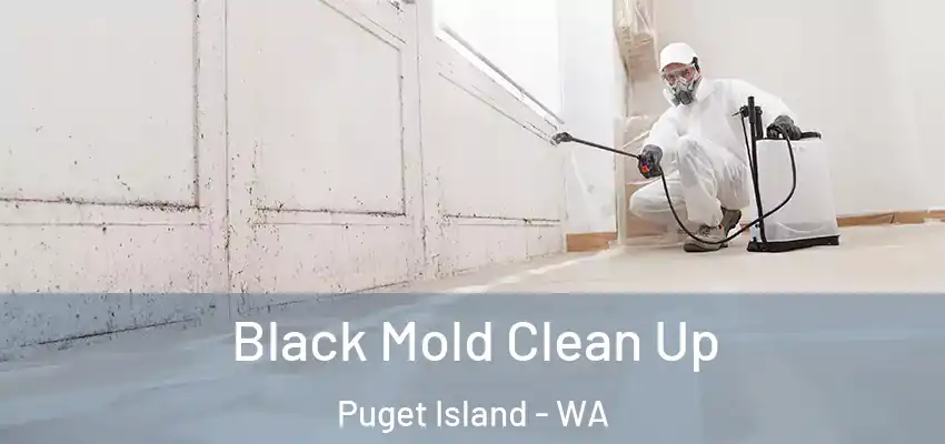  Black Mold Clean Up Puget Island - WA